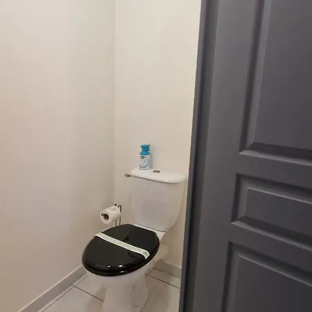 Beau Duplex Cap Camargue Piscine 4 Pers Terrasse Et Parking Dans Résidence Sécurisée
